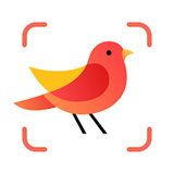 Picture Bird - 拍照识鸟 icon