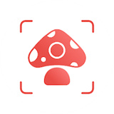 Picture Mushroom - 蘑菇鑑定和採摘指南 icon