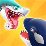 Shark Mania icon