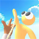 Ragdoll Capture icon