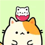 Puni Cat icon