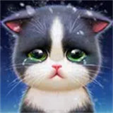 Kitten Match icon