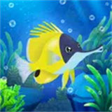 Splash — Fish Aquarium icon