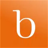 Brightline icon