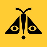 Concert Archives icon