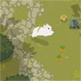 Bunny Forest icon