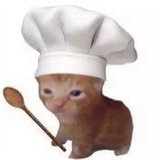 Cute Cats Stickers icon