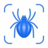 Picture Insect icon