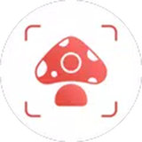 Picture Mushroom icon