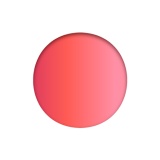 Showroomprivé icon