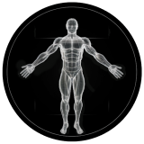BodBot AI Personal Trainer icon