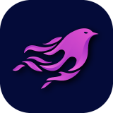 Shen VPN icon