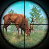 Deer Hunting Simulation Game icon