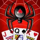 Spider Solitaire Classic Games icon