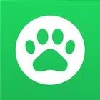 Lingoland - Learn English icon