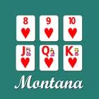 Montana Solitaire icon