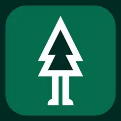 Forest - eBike Sharing