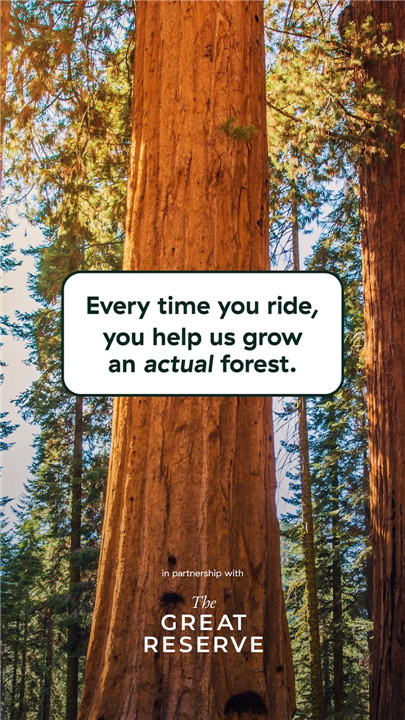 Forest - eBike Sharing  poster