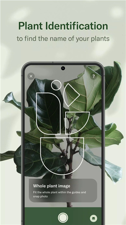 Planta: Plant & Garden Care  poster