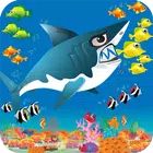 Shark Grow Big fish eat small icon