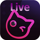 FogoLive-Video&Chat