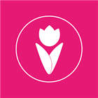 Tulip Festival Noordoostpolder