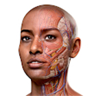 Complete Anatomy - Learn in 3D