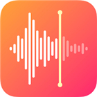 Voice Recorder & Voice Memos