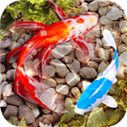 3D Fish Tank Live Wallpaper