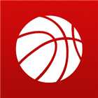 Superfan Sports Pro Basketball